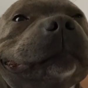 Meet your Posher, Marisol